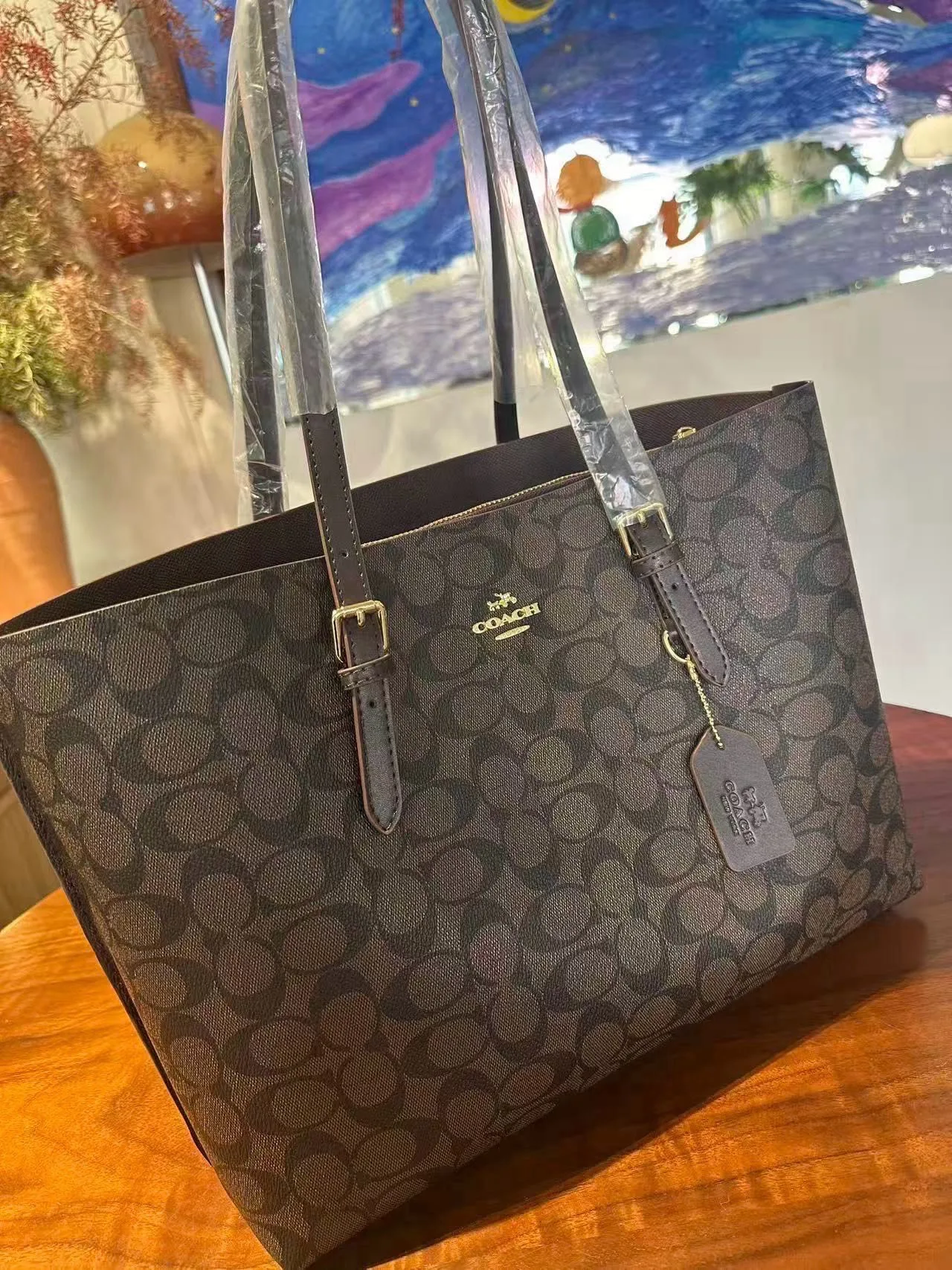 Coach Signature Tote in Brown / Beige · view 7