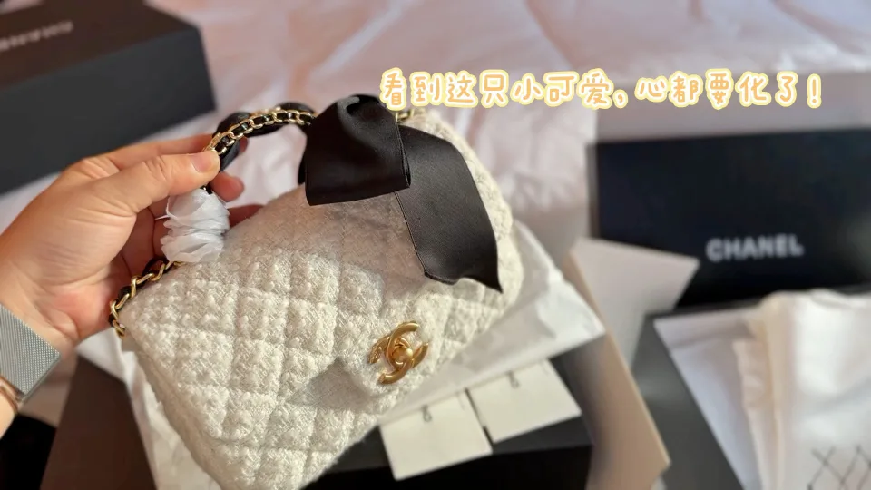 Chanel Hobo Bow Mini Flap Bag in Black & White · view 2