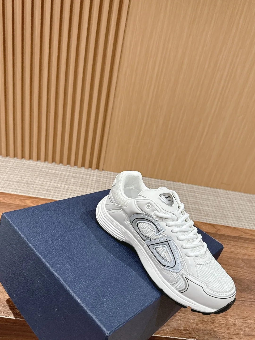 Dior Smooth Sneakers in White · view 5