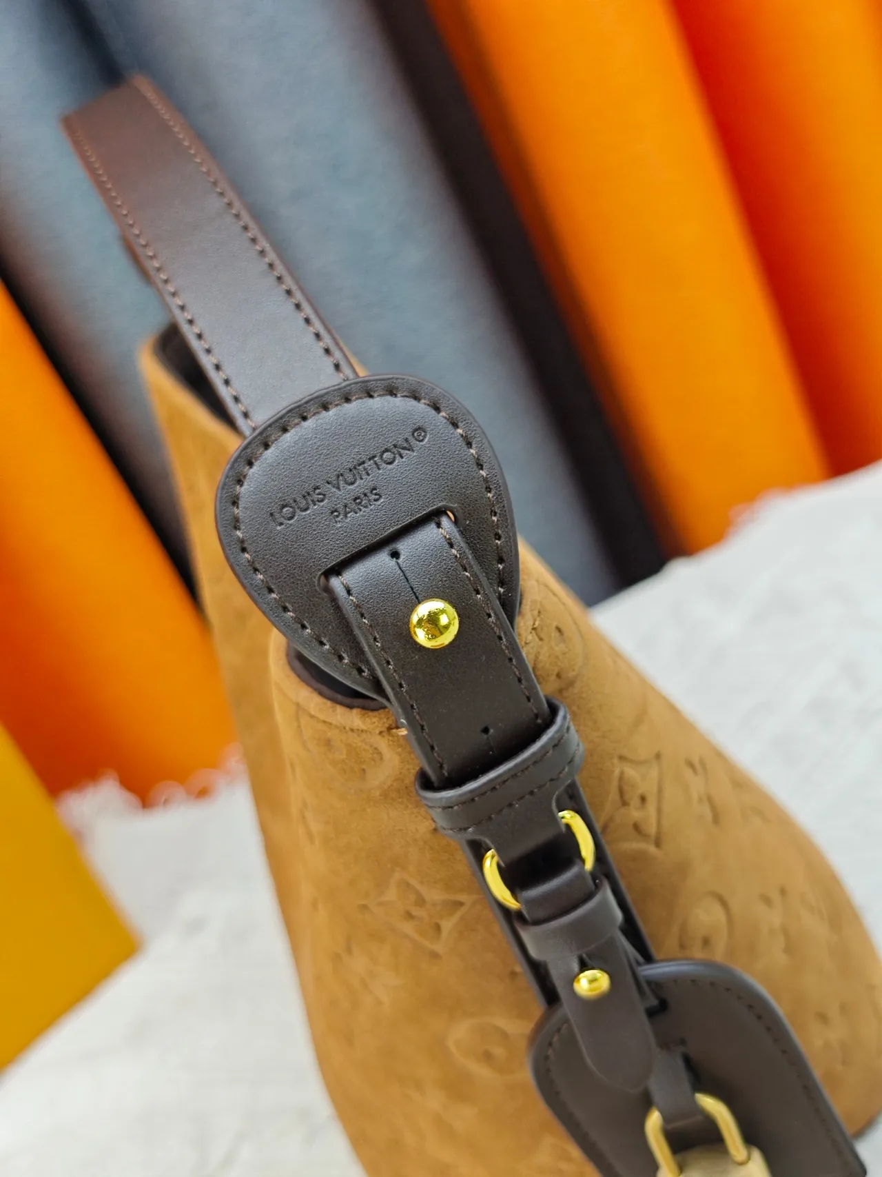 Louis Vuitton Cowhide Smooth Hobo Bag in Tan · view 7