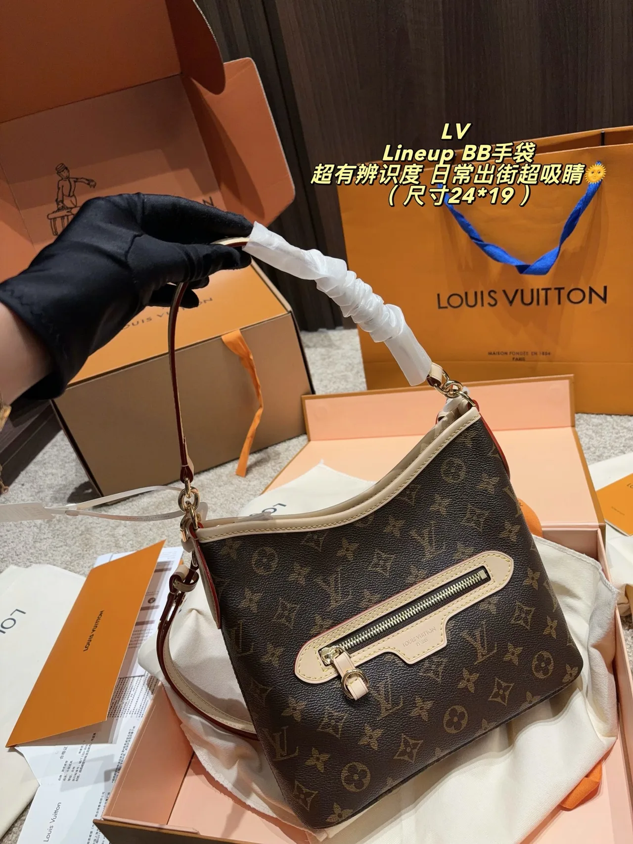 Louis Vuitton Canvas Smooth Hobo Bag in Brown · view 1