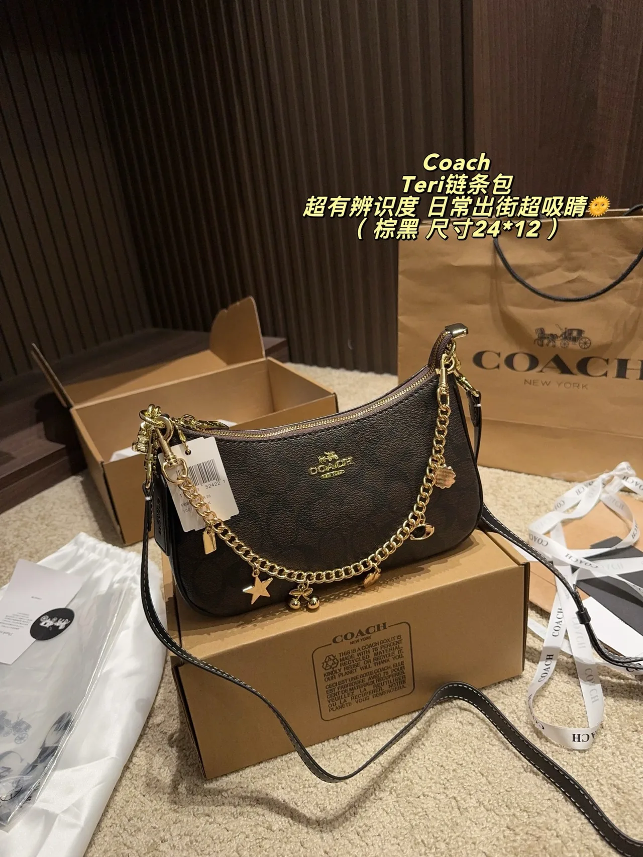 Coach Hobo Teri Chain Shoulder Bag in Brown · view 1