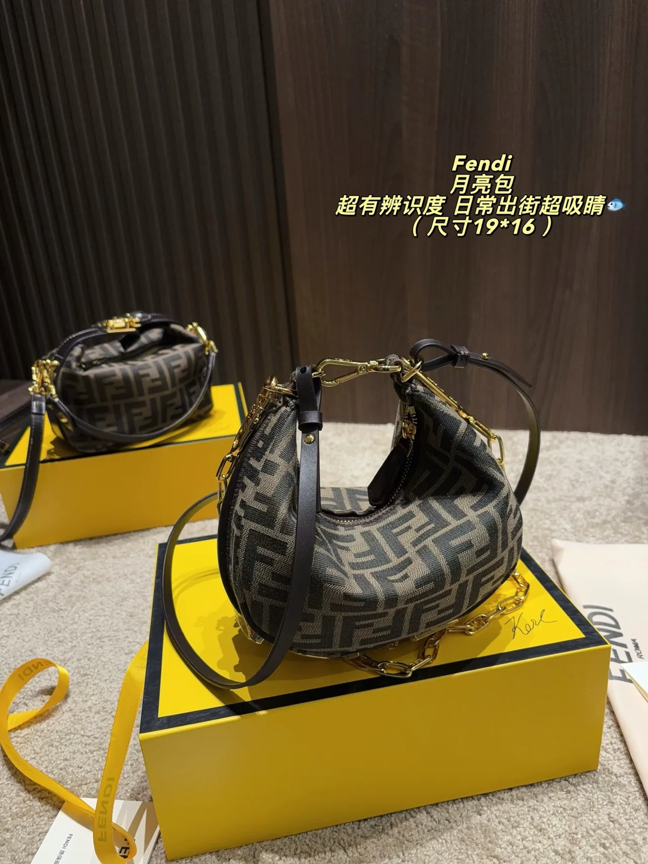 Fendi Canvas Hobo Bag in Brown · view 2