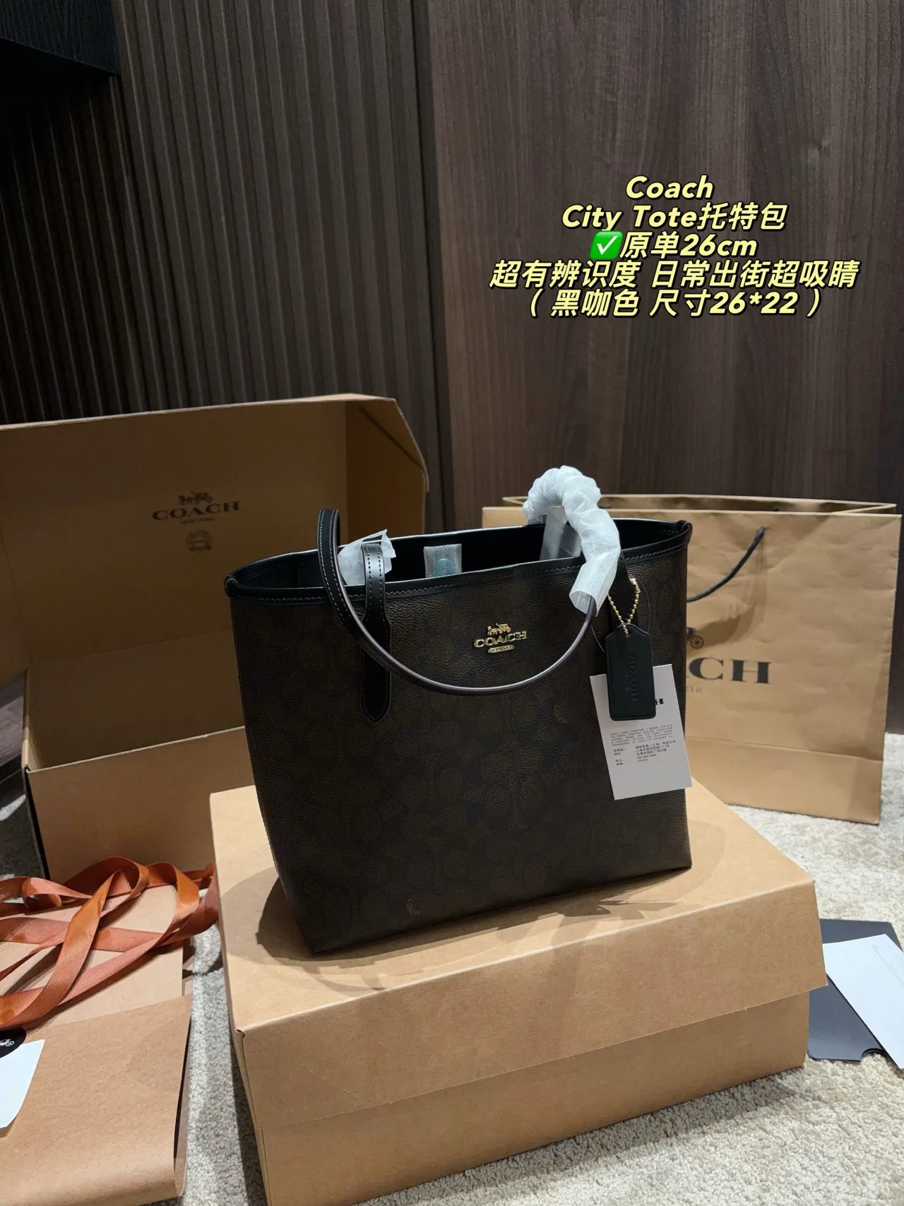 Coach Canvas Smooth City Tote in Brown · view 2