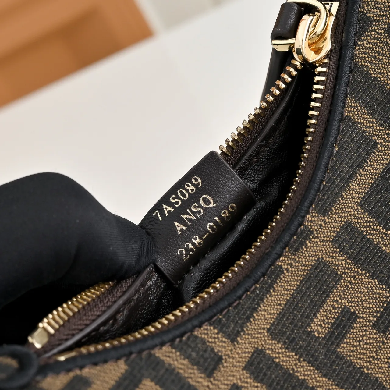 Fendi Embroidered Hobo Bag in Brown · view 6