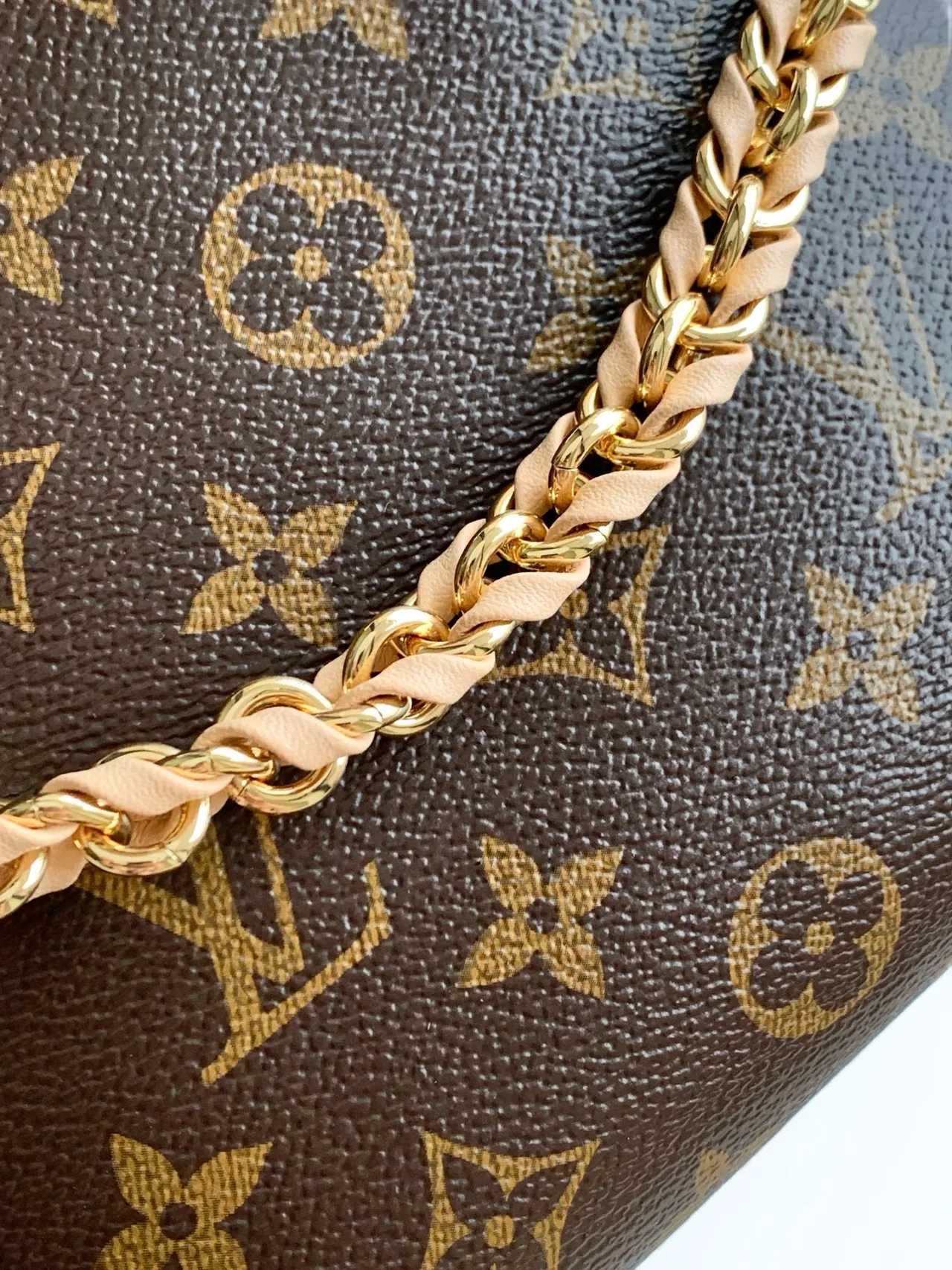 Louis Vuitton Canvas Smooth Hobo Bag in Brown · view 5