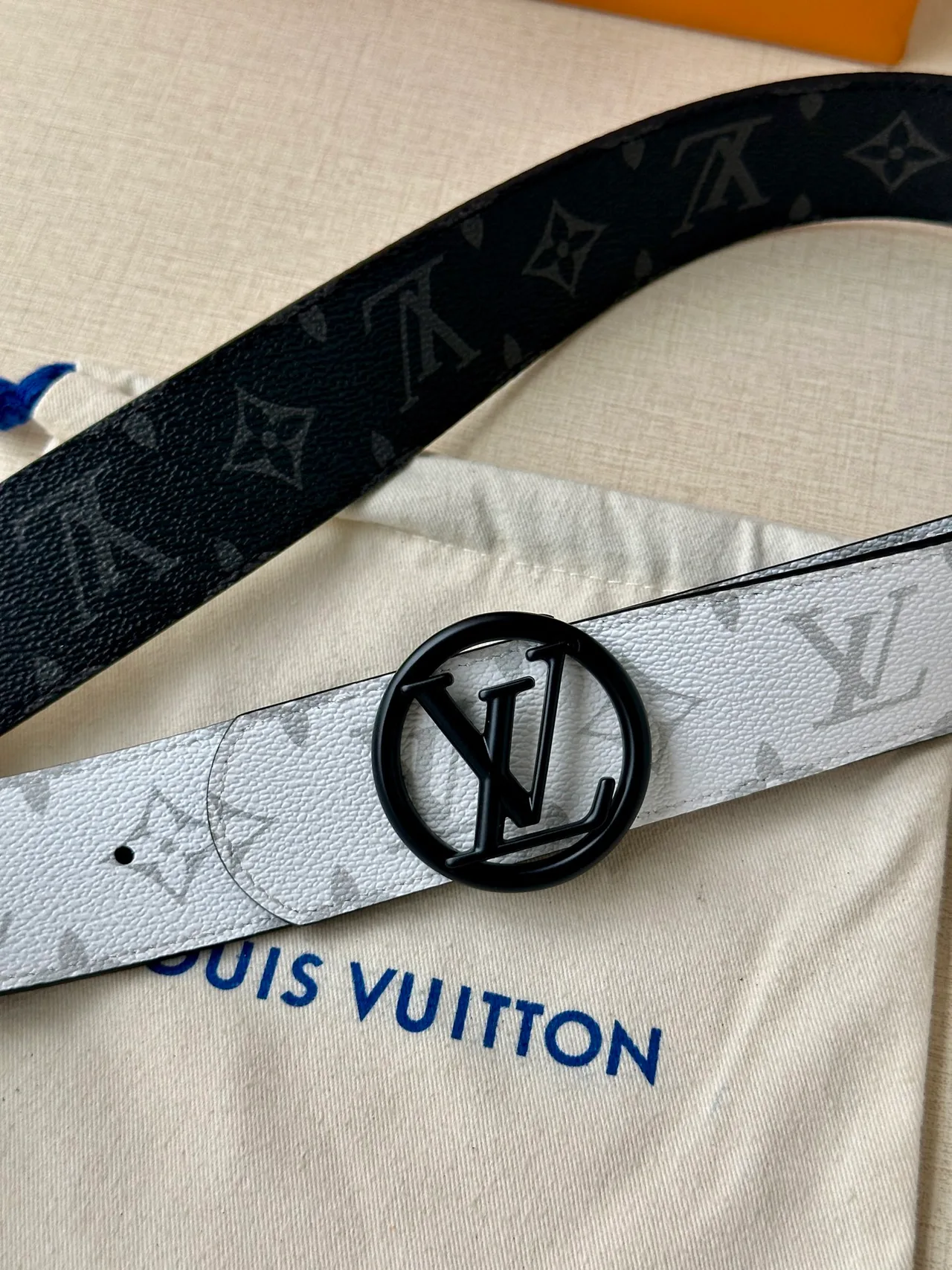 Louis Vuitton Canvas Belt in White · view 5