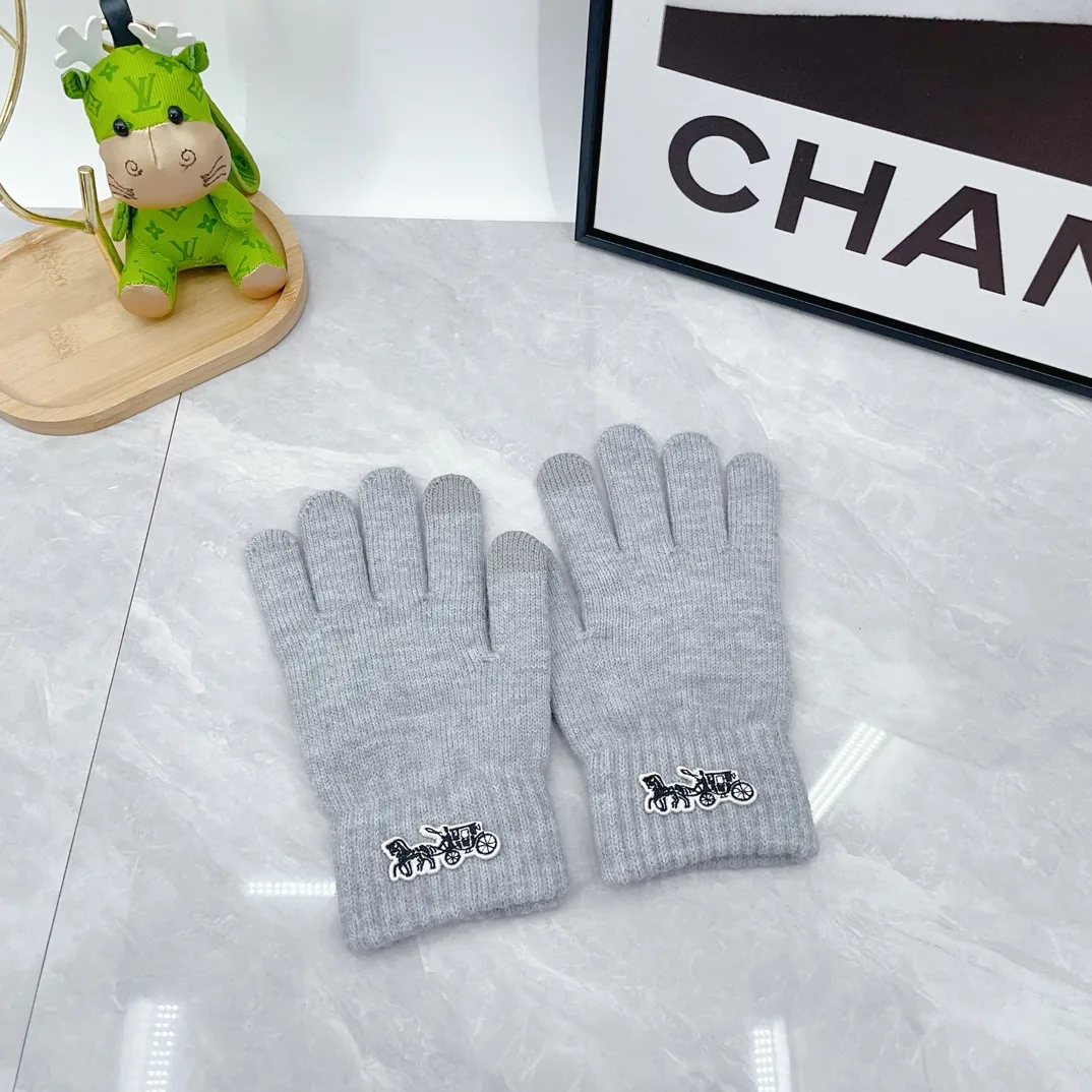 Coach Wool Ribbed Embroidered Hat Scarf and Gloves Set in Grey · view 7