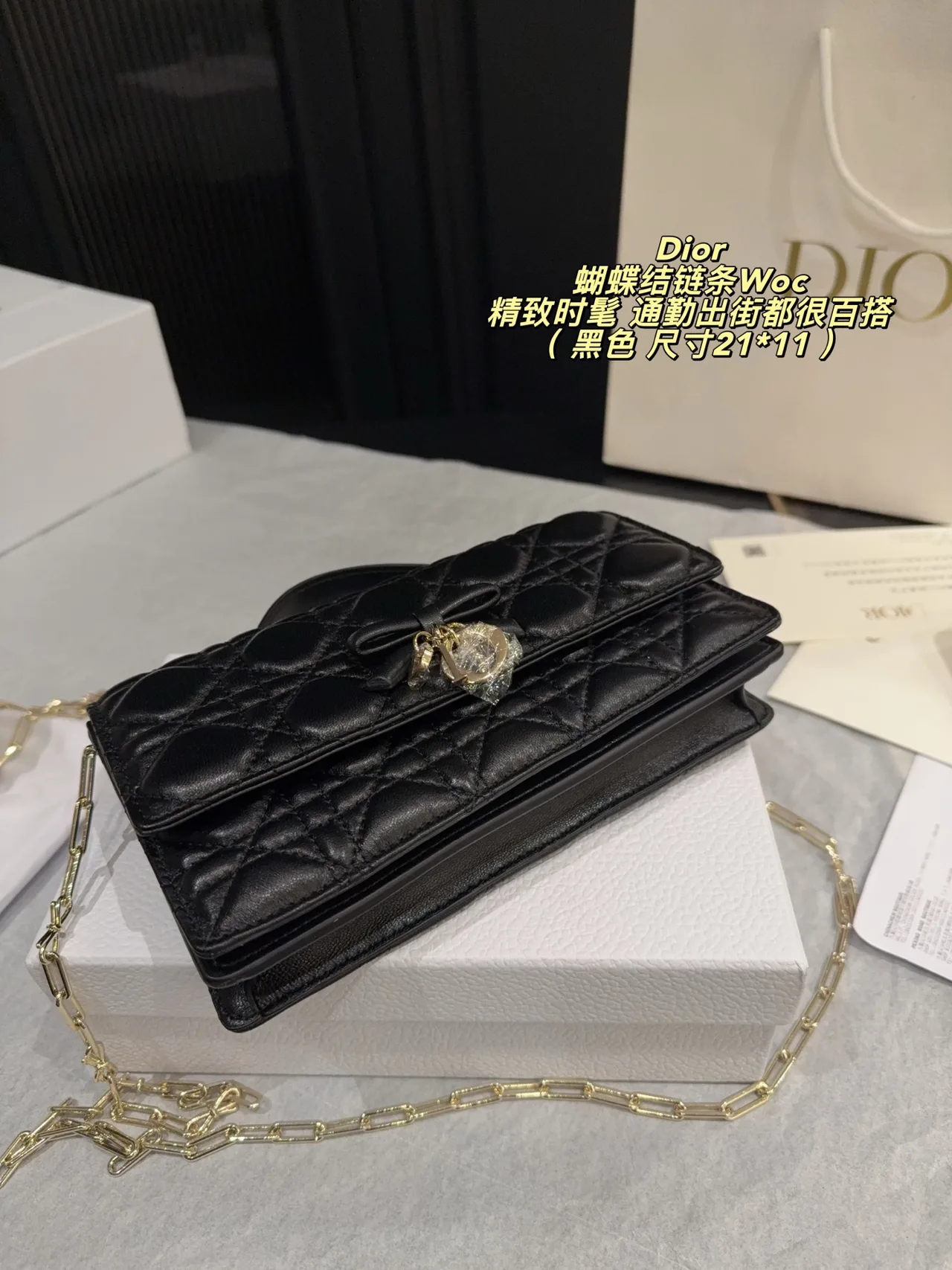 Dior Chain Wallet in Black · view 8