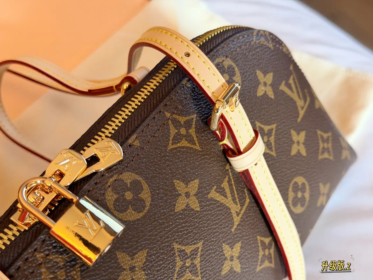Louis Vuitton Monogram Dome Satchel in Brown · view 8