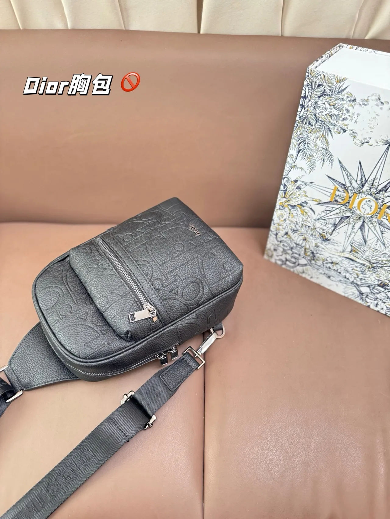 Dior Sling Bag in Grey · view 9