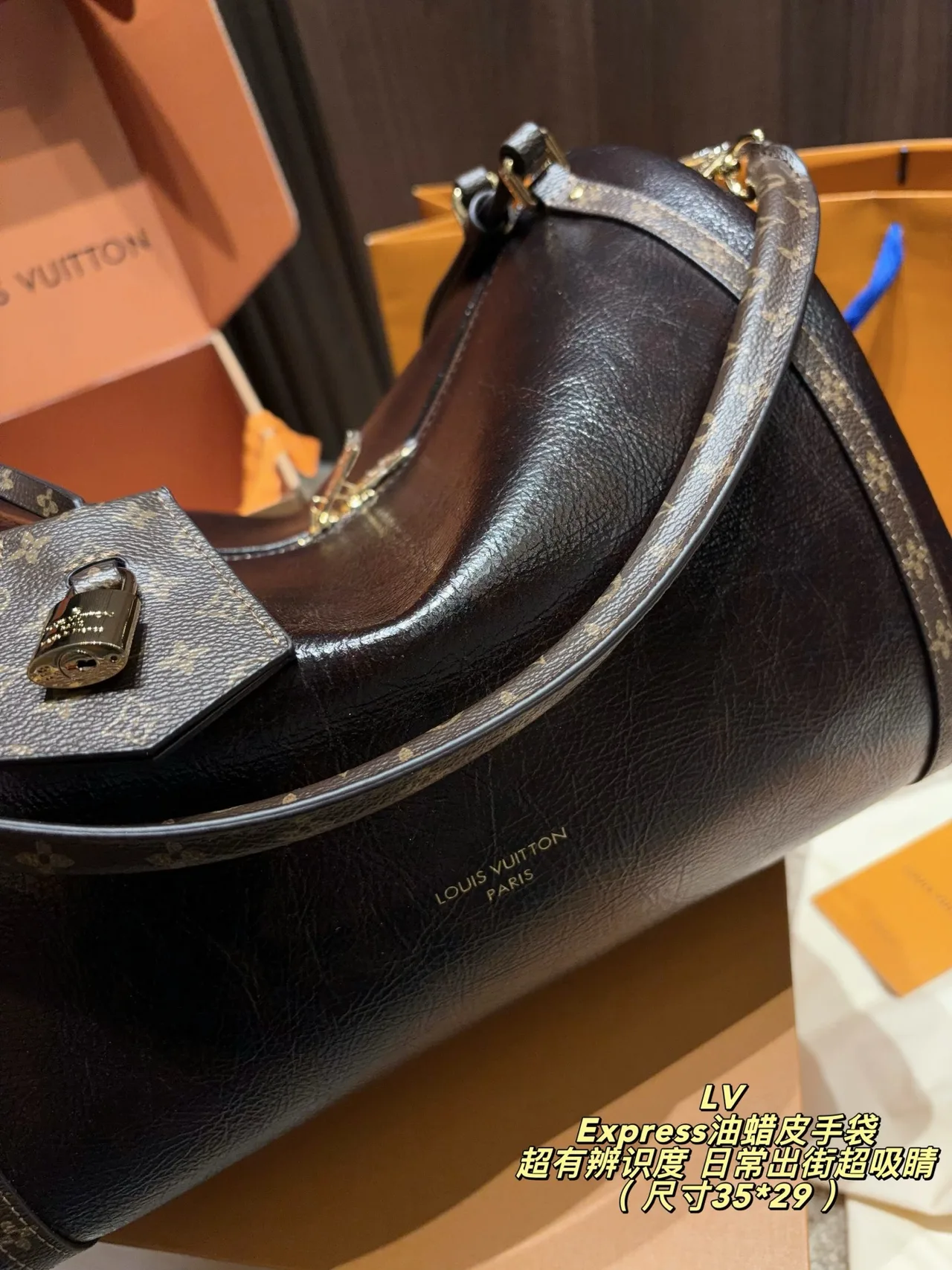 Louis Vuitton Hobo Bag in Black · view 4
