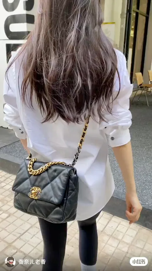 Chanel 19 Flap Bag in Black / Beige / Pink / Burgundy / White / Gold / Silver · view 6