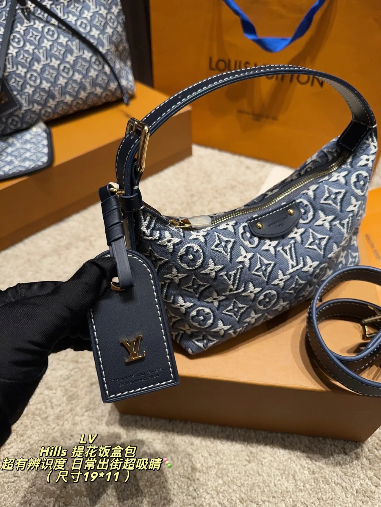 Louis Vuitton Monogram Hills Shoulder Bag in Blue · view 3