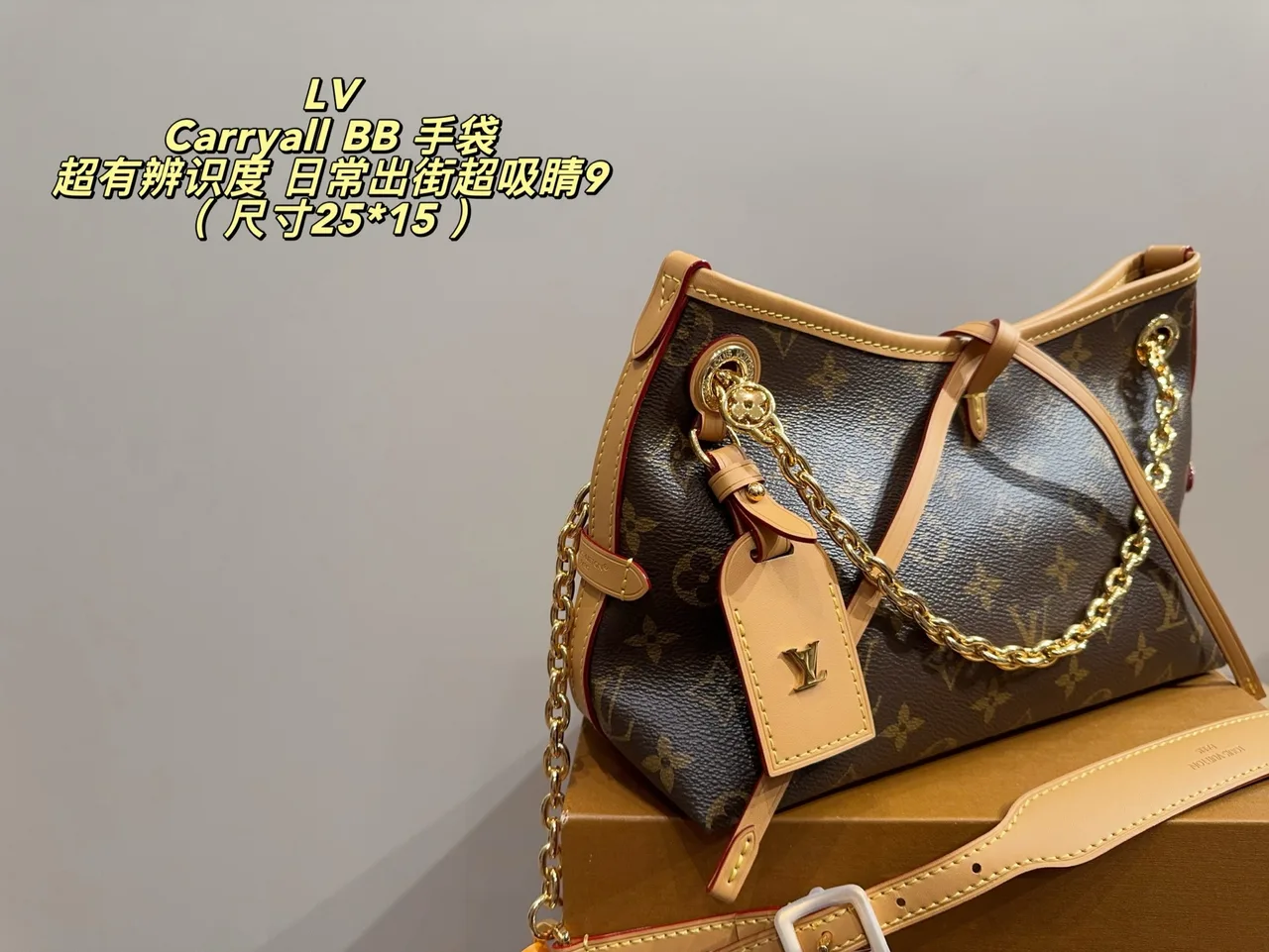 Louis Vuitton Canvas Hobo Bag in Brown · view 2