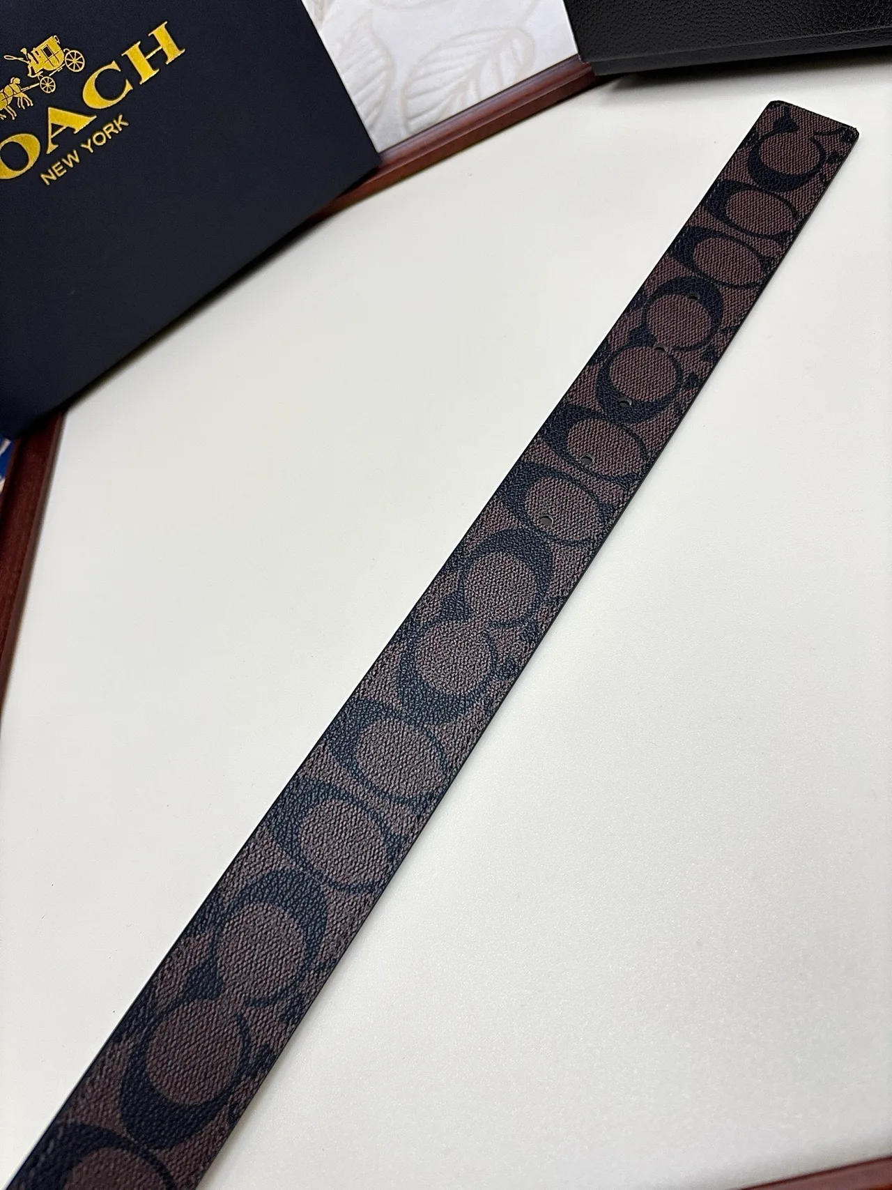 Coach Belt in Black · view 5