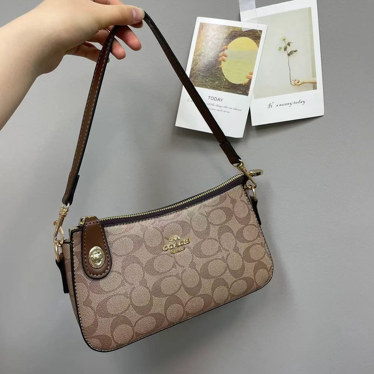 Coach Shoulder Bag in Grey & Pink & Beige & Brown & Tan & White · view 5