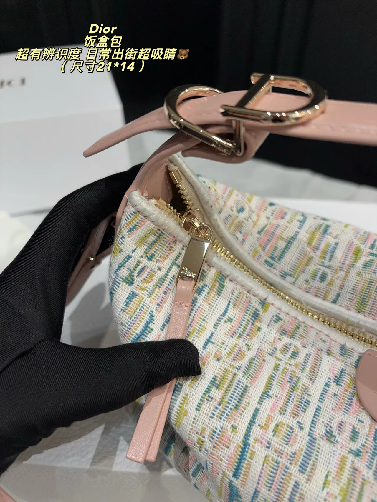 Dior Leather Hobo Bag in White · view 7