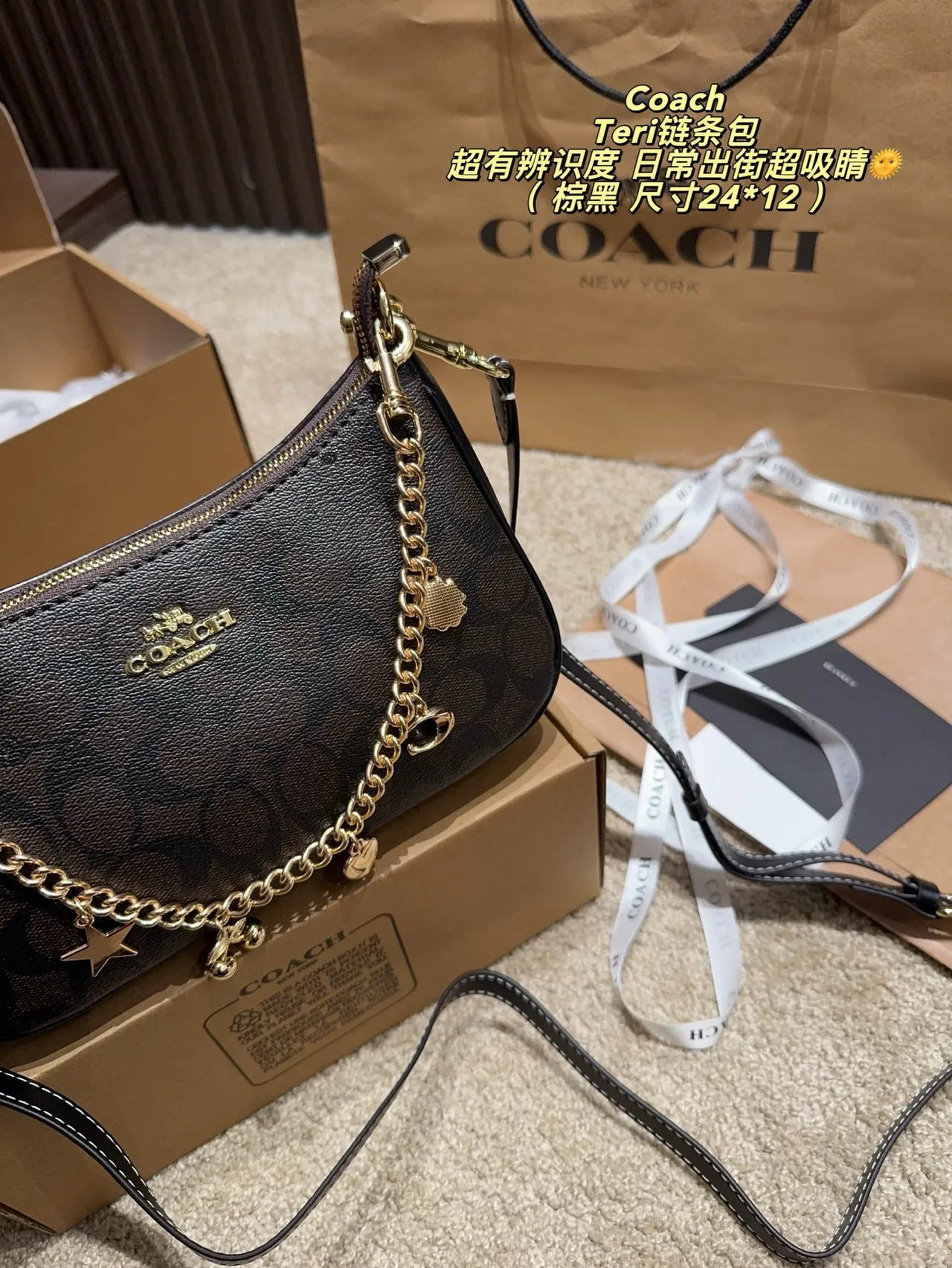 Coach Hobo Teri Chain Shoulder Bag in Brown · view 4
