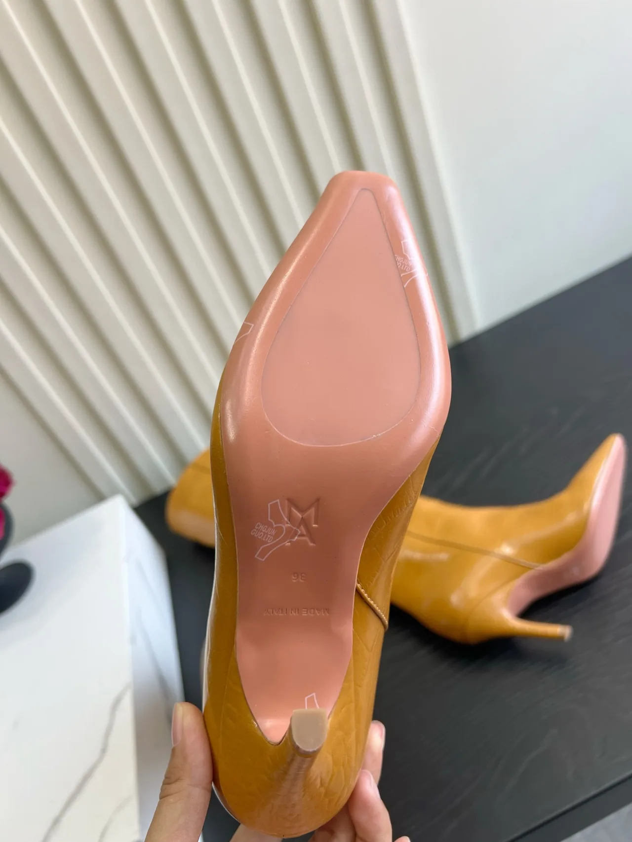 Amina Muaddi Cowhide Glossy Pointed-Toe Knee-High Boots in Tan · view 5