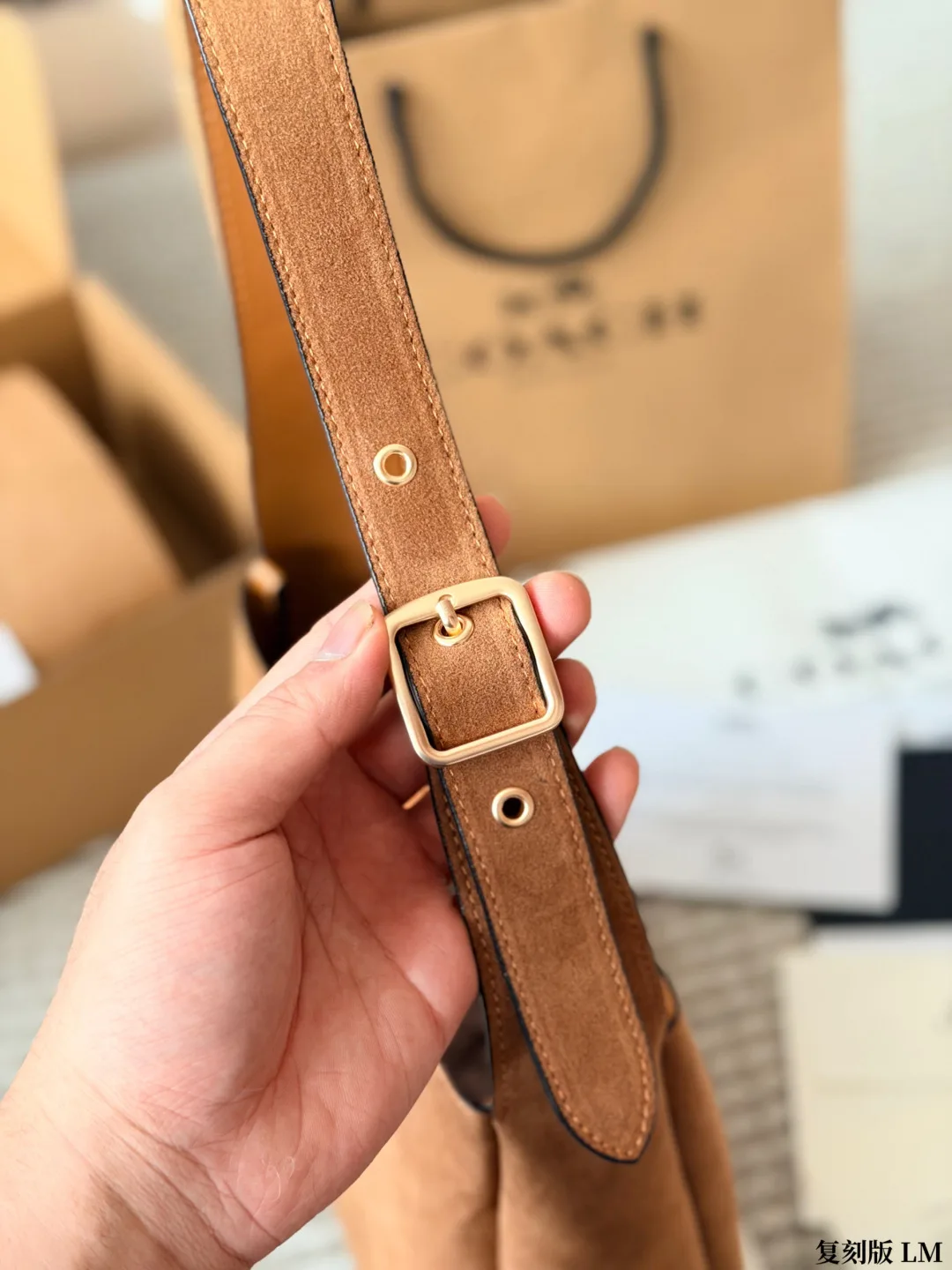 Coach Suede Canvas Hobo Bag in Tan · view 7