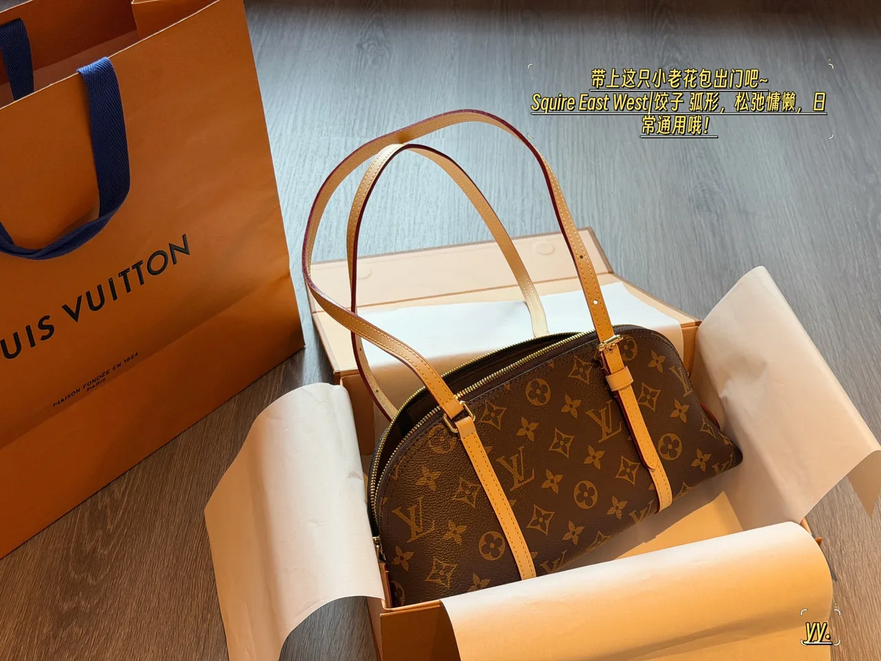 Louis Vuitton Hobo Bag in Brown · view 1