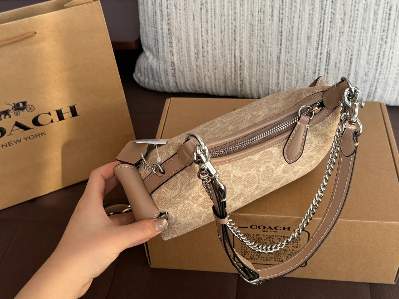 Coach Hobo Bag in Beige · view 5