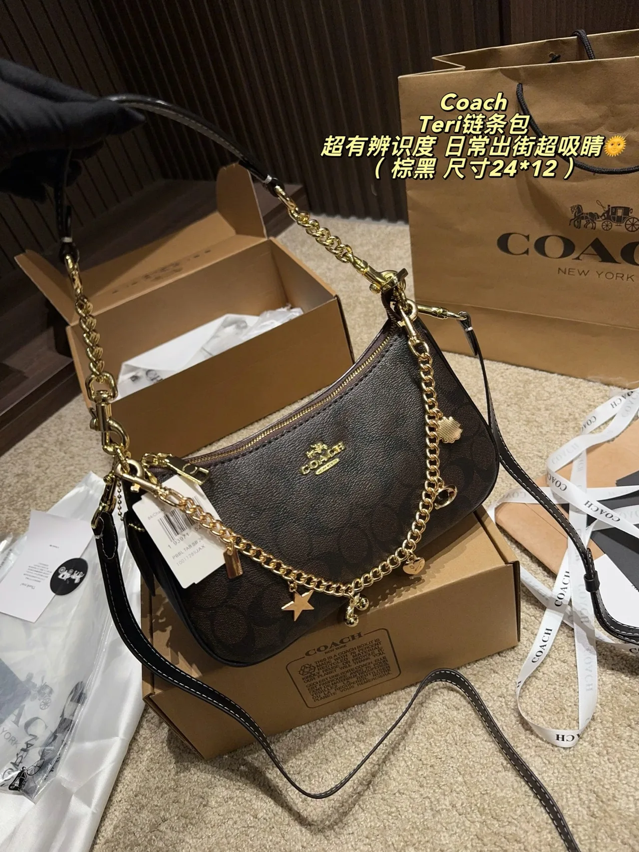 Coach Hobo Teri Chain Shoulder Bag in Brown · view 2