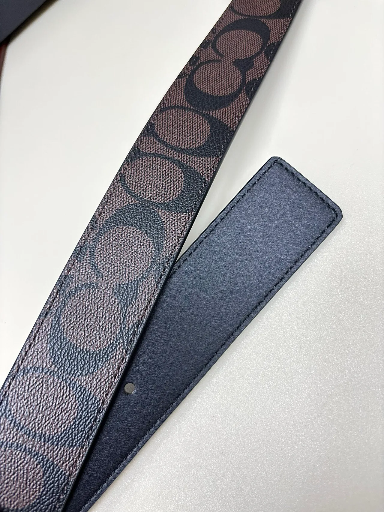 Coach Belt in Black · view 8