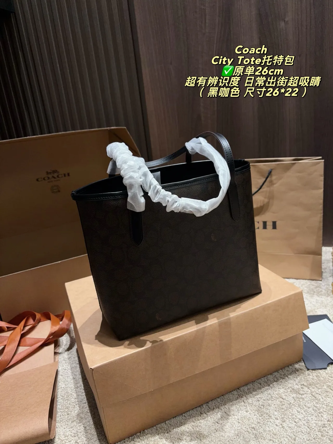 Coach Canvas Smooth City Tote in Brown · view 5