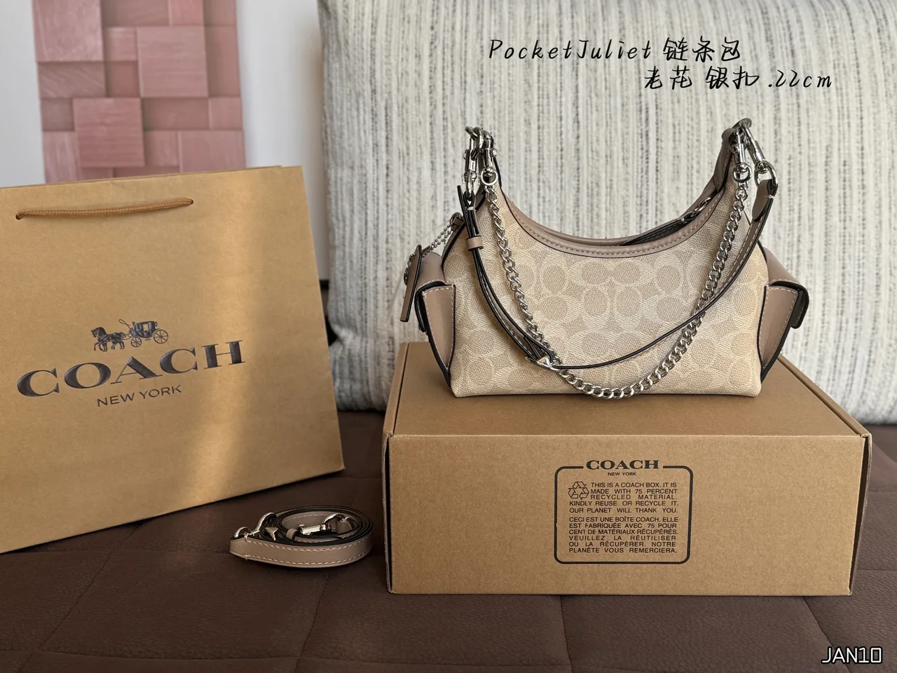 Coach Hobo Bag in Beige · view 1