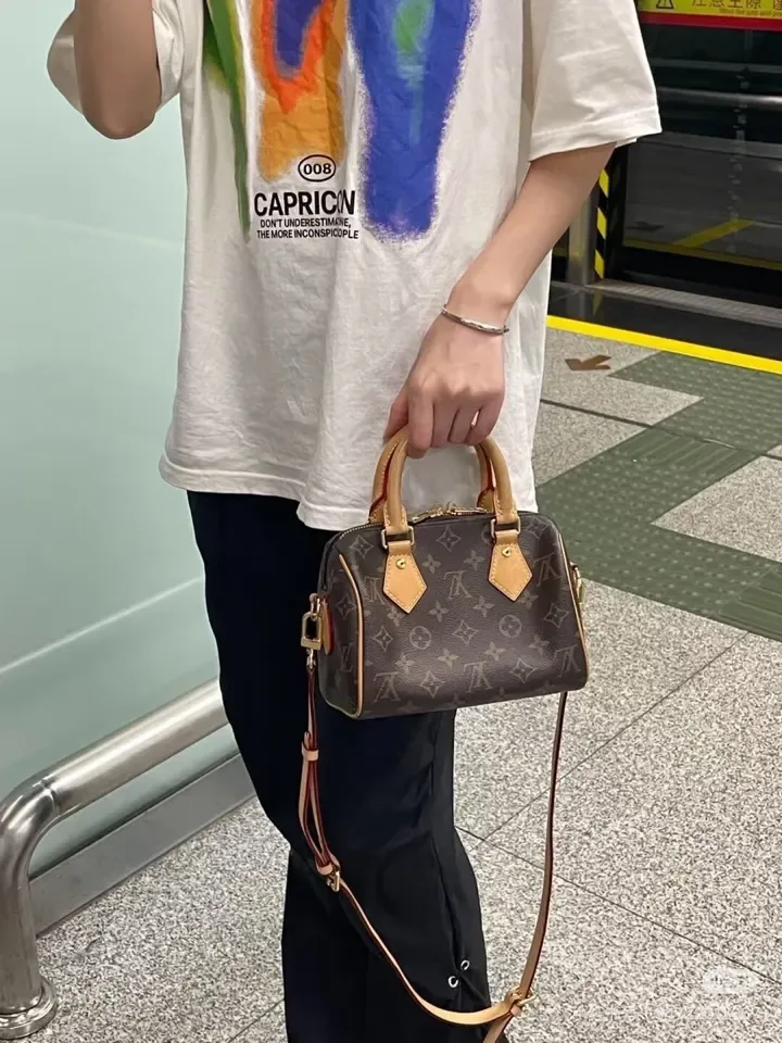 Louis Vuitton Speedy 20 Canvas Nano Speedy Handbag in Brown · view 1