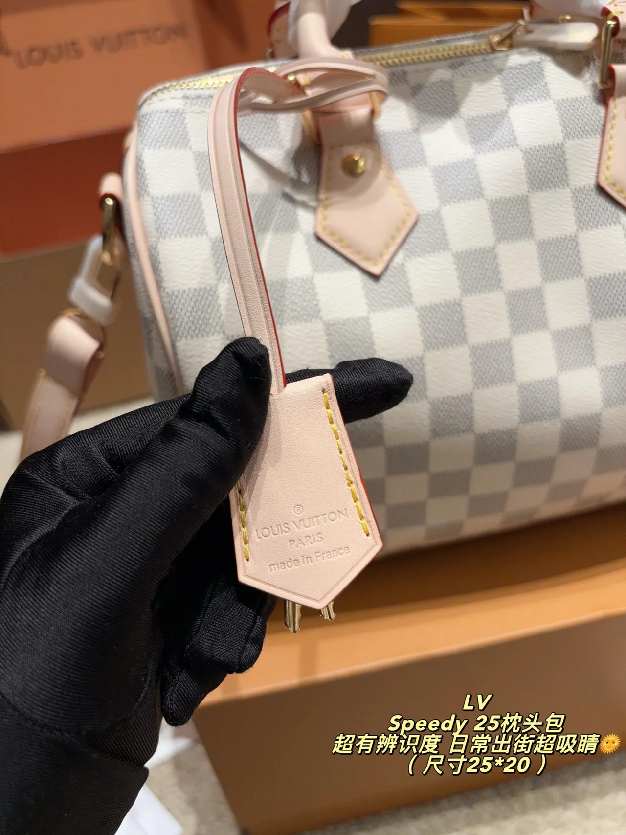Louis Vuitton Speedy 25 Canvas Crossbody Bag in Grey · view 7