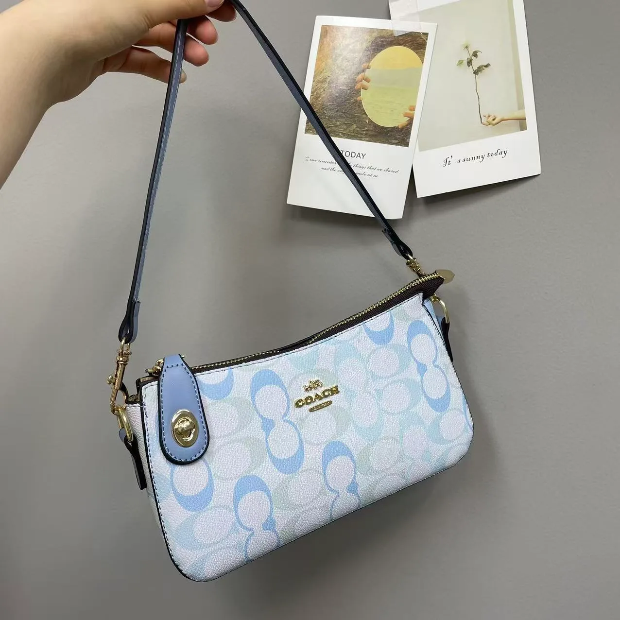 Coach Shoulder Bag in Grey & Pink & Beige & Brown & Tan & White · view 7