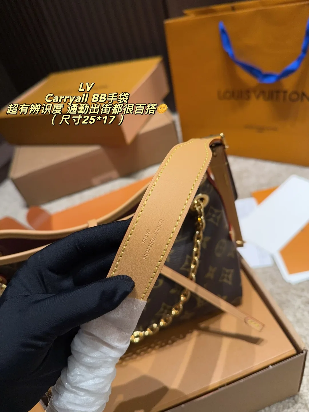 Louis Vuitton Carryall BB Shoulder Bag in Brown · view 5