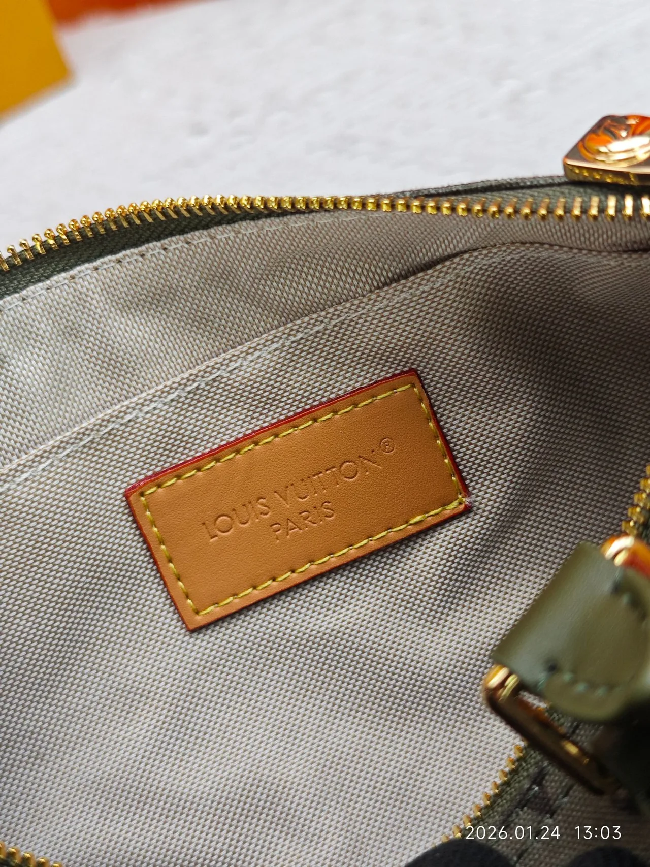 Louis Vuitton Canvas Top-Handle Bag in Green · view 9