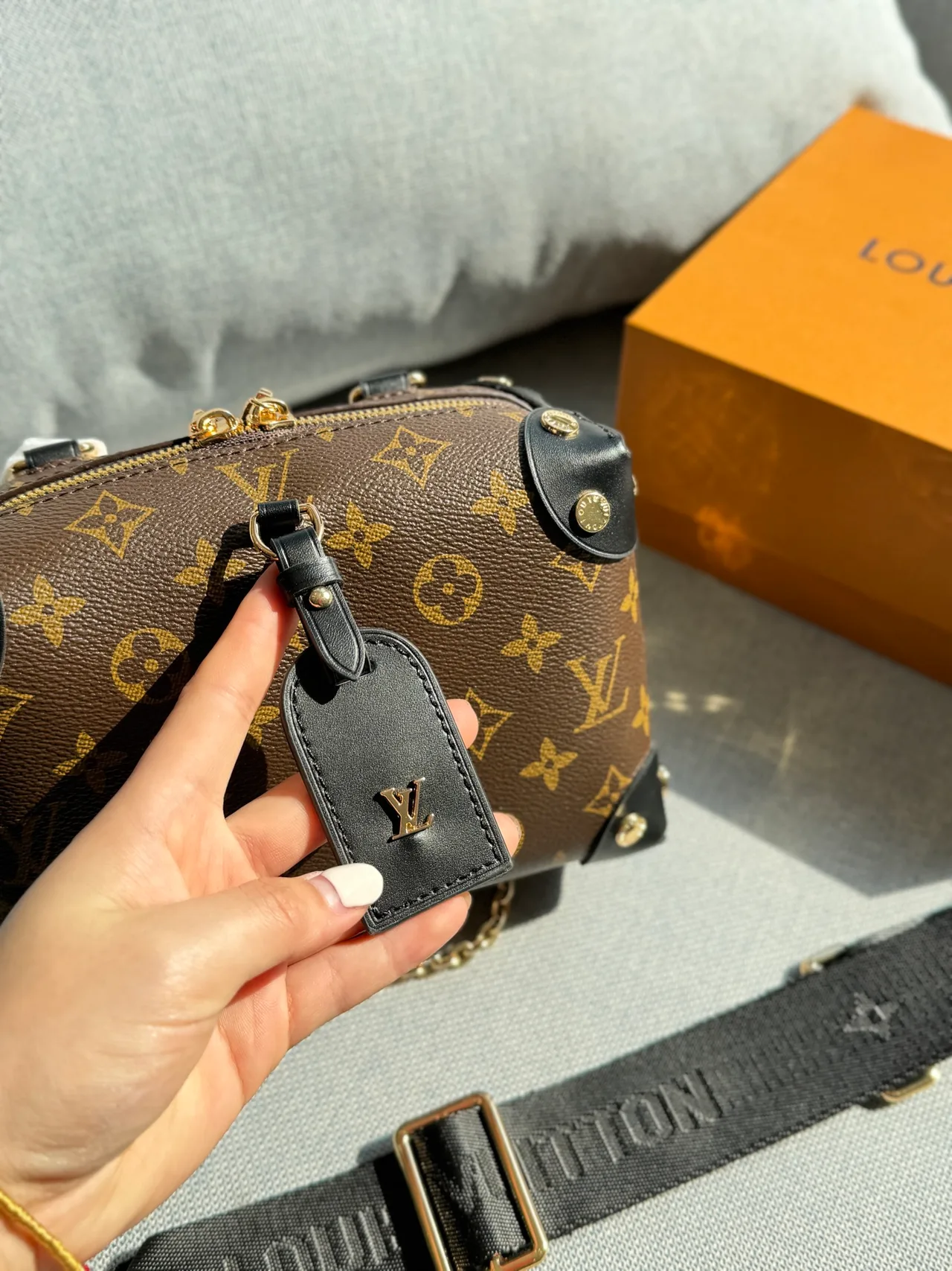 Louis Vuitton Petite Malle Souple Handbag in Brown · view 6
