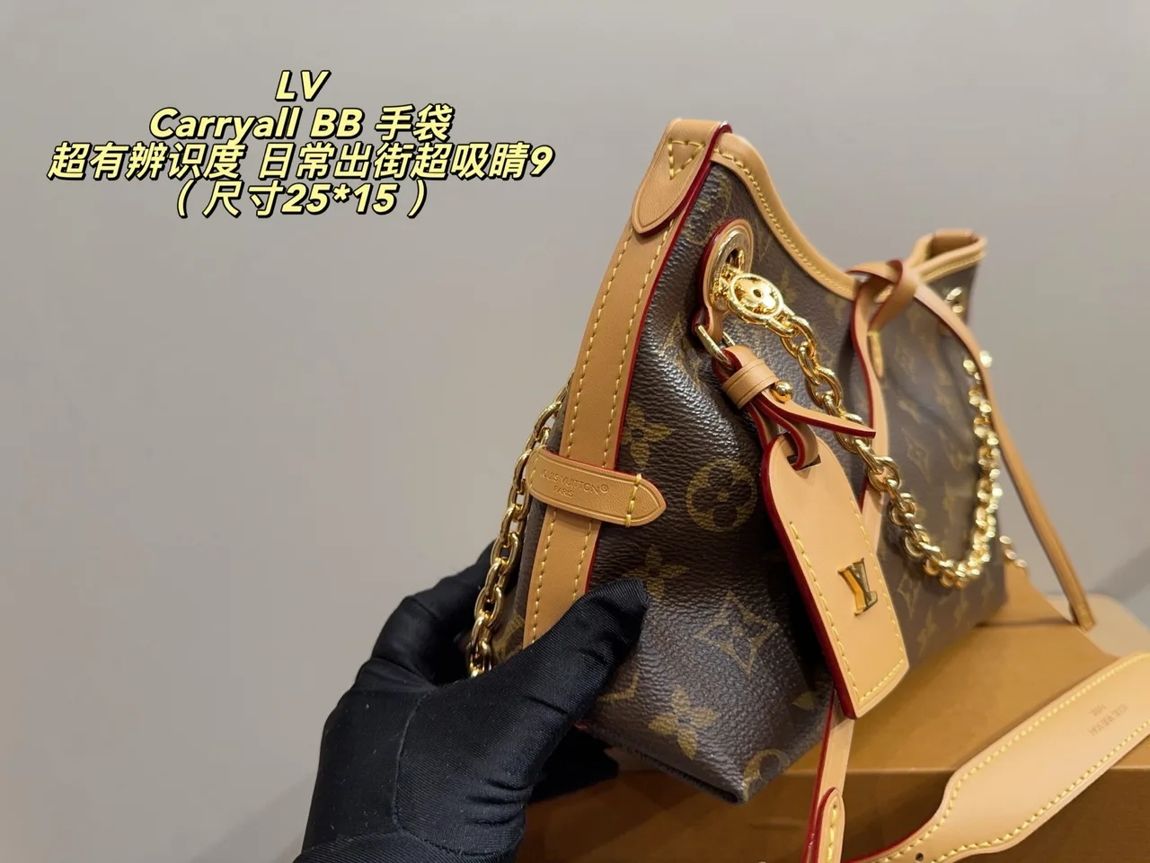 Louis Vuitton Canvas Hobo Bag in Brown · view 6