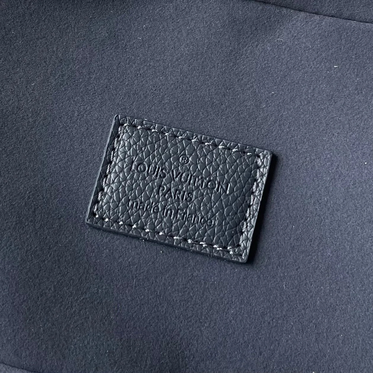 Louis Vuitton Cowhide Bucket Bag in Black · view 9