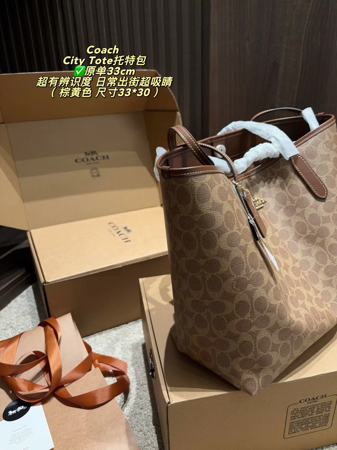Coach Canvas Tote in Tan · view 2