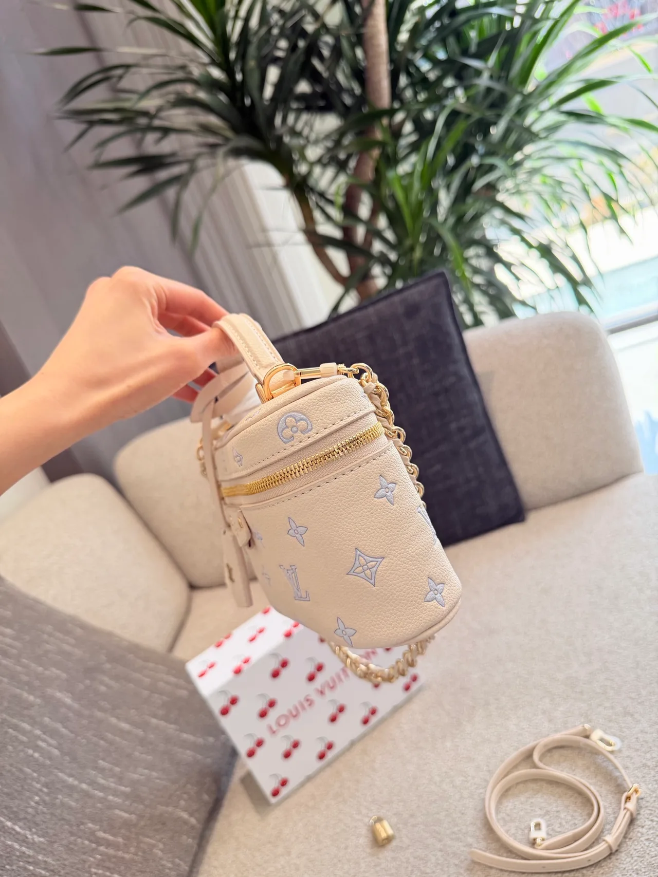 Louis Vuitton Cowhide Vanity Bag in White · view 5