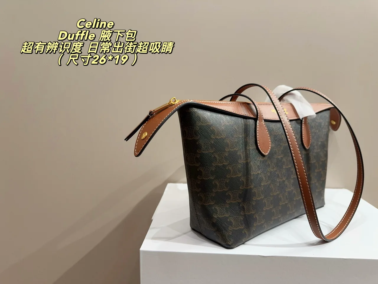 Celine Cowhide Canvas Crossbody Bag in Brown · view 4