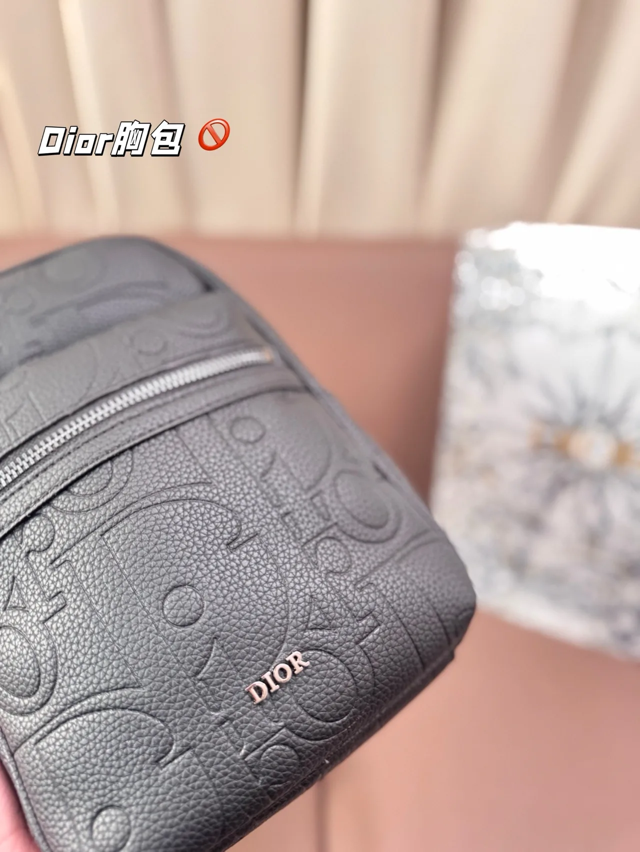 Dior Sling Bag in Grey · view 6