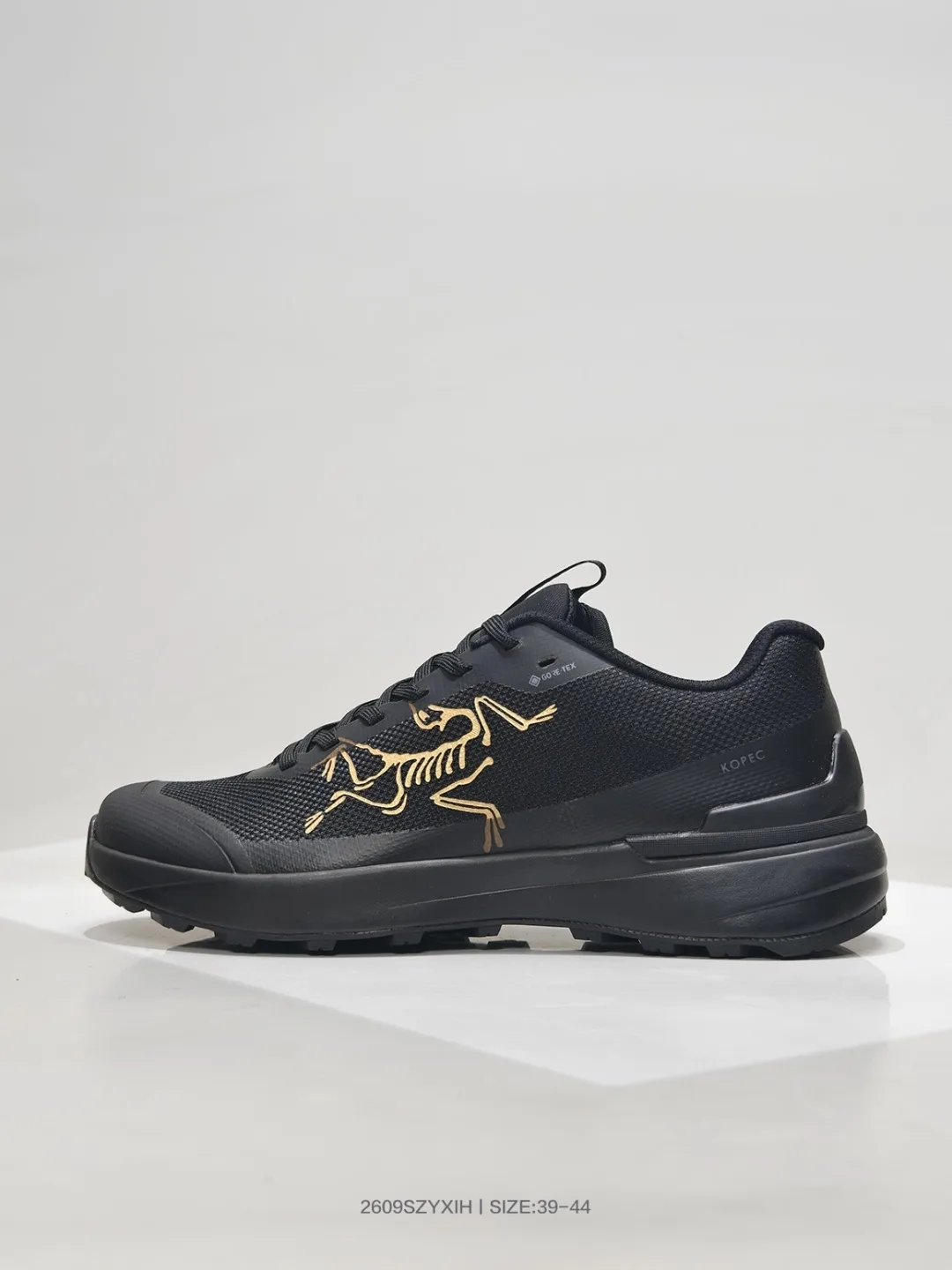 Arcteryx Sneakers in Black · view 2