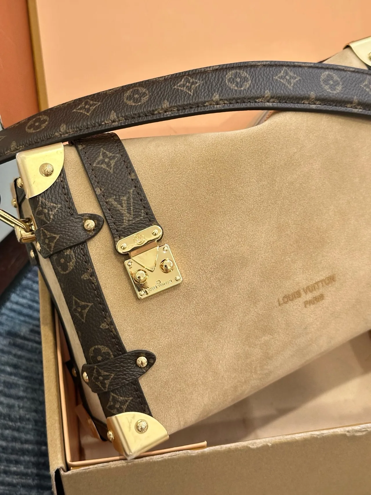 Louis Vuitton Suede Monogram Hobo Bag in Beige · view 6