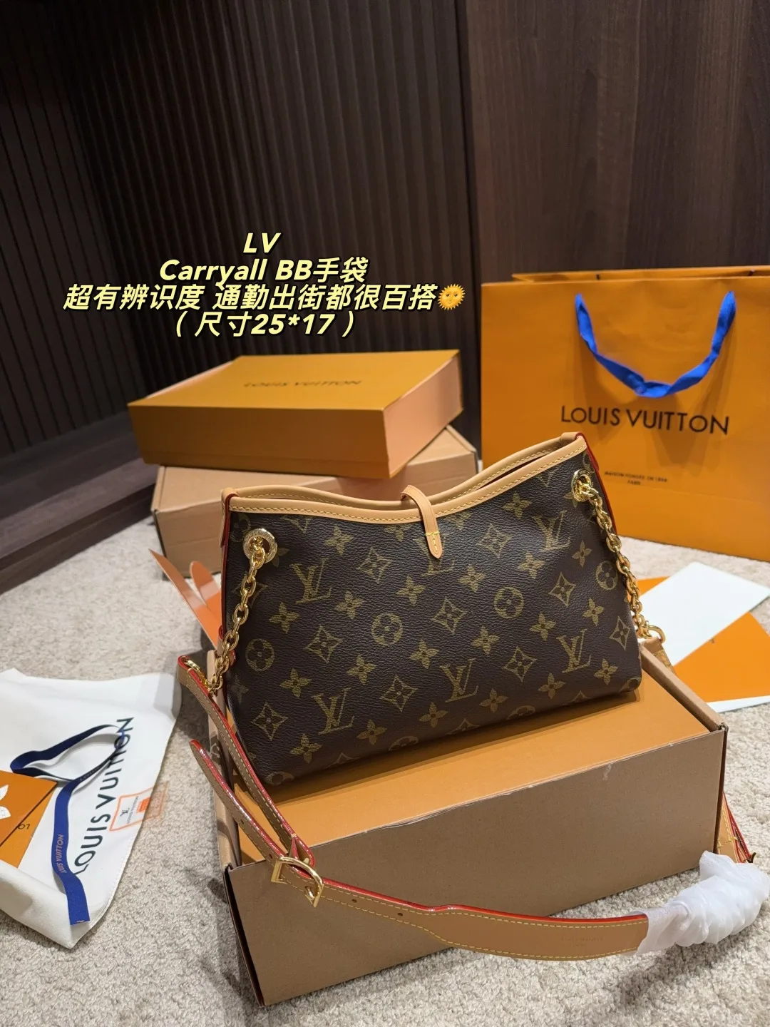 Louis Vuitton Carryall BB Shoulder Bag in Brown · view 1