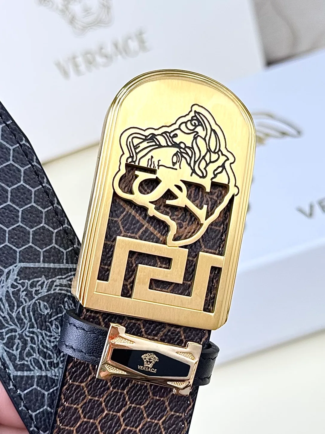 Versace Medusa Pattern Belt in Brown · view 8