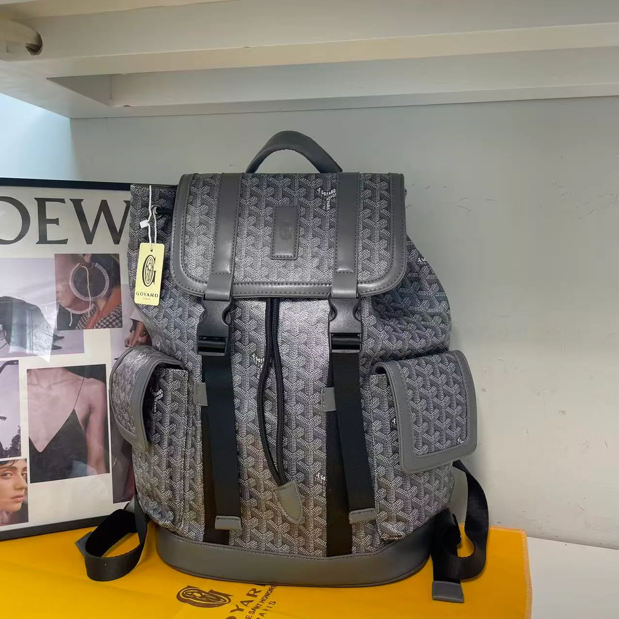 Goyard Backpack in Red & Green & Blue & Brown & Grey & Black · view 5