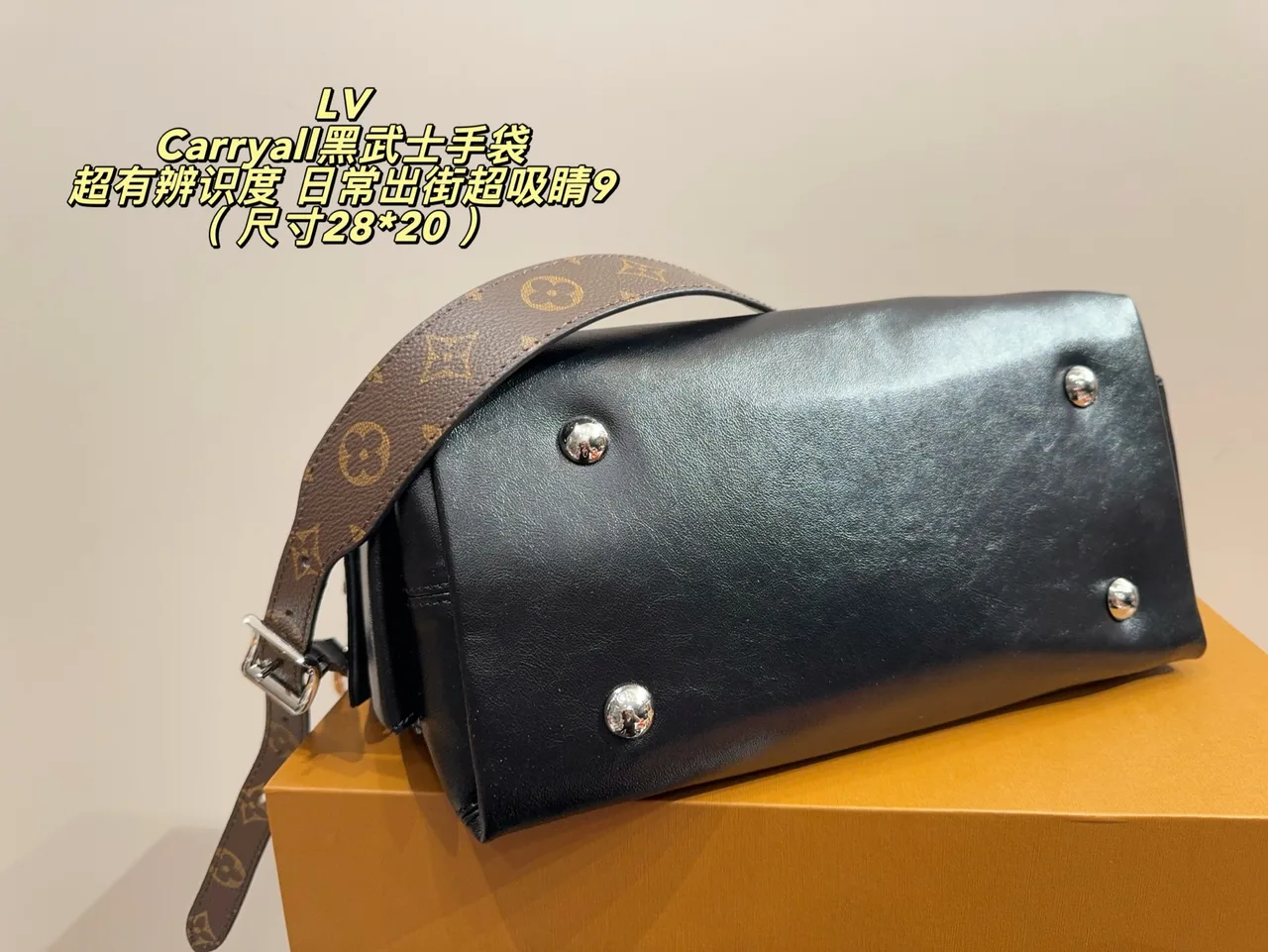 Louis Vuitton Smooth Hobo Bag in Black · view 8