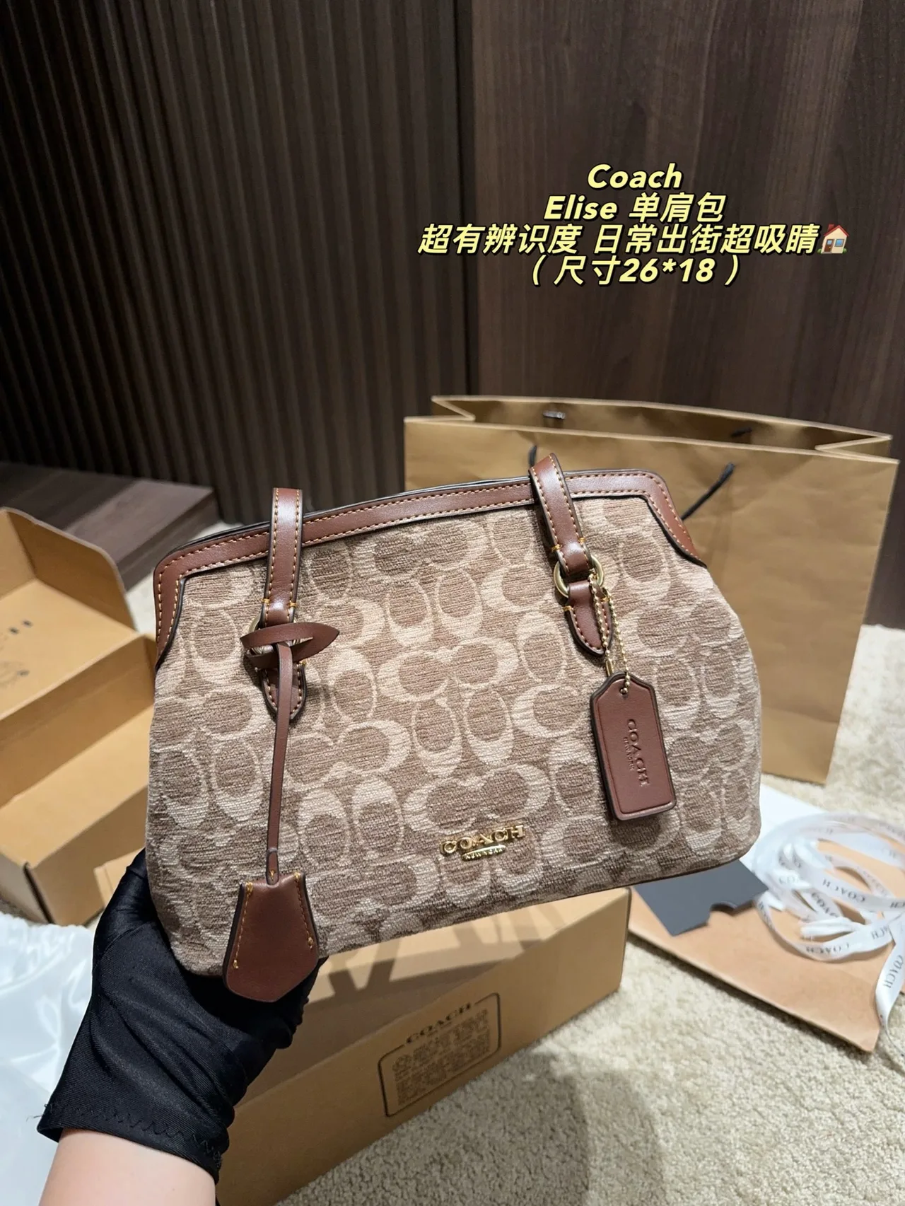 Coach Leather Smooth Shoulder Bag in Beige · view 6